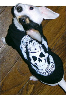 Doggie t-shirt